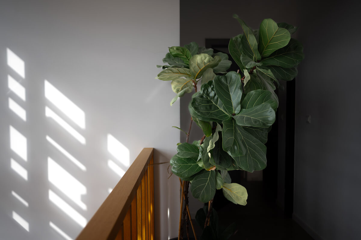 toni_opacic_zadar_croatia_sea_adriatic_velebit_photo_video_dron_panorama_arhitectura