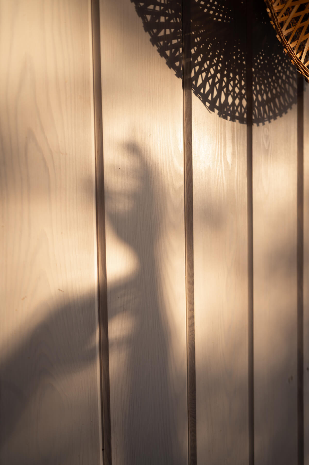 toni_opacic_zadar_croatia_sea_adriatic_velebit_photo_video_dron_panorama_arhitectura