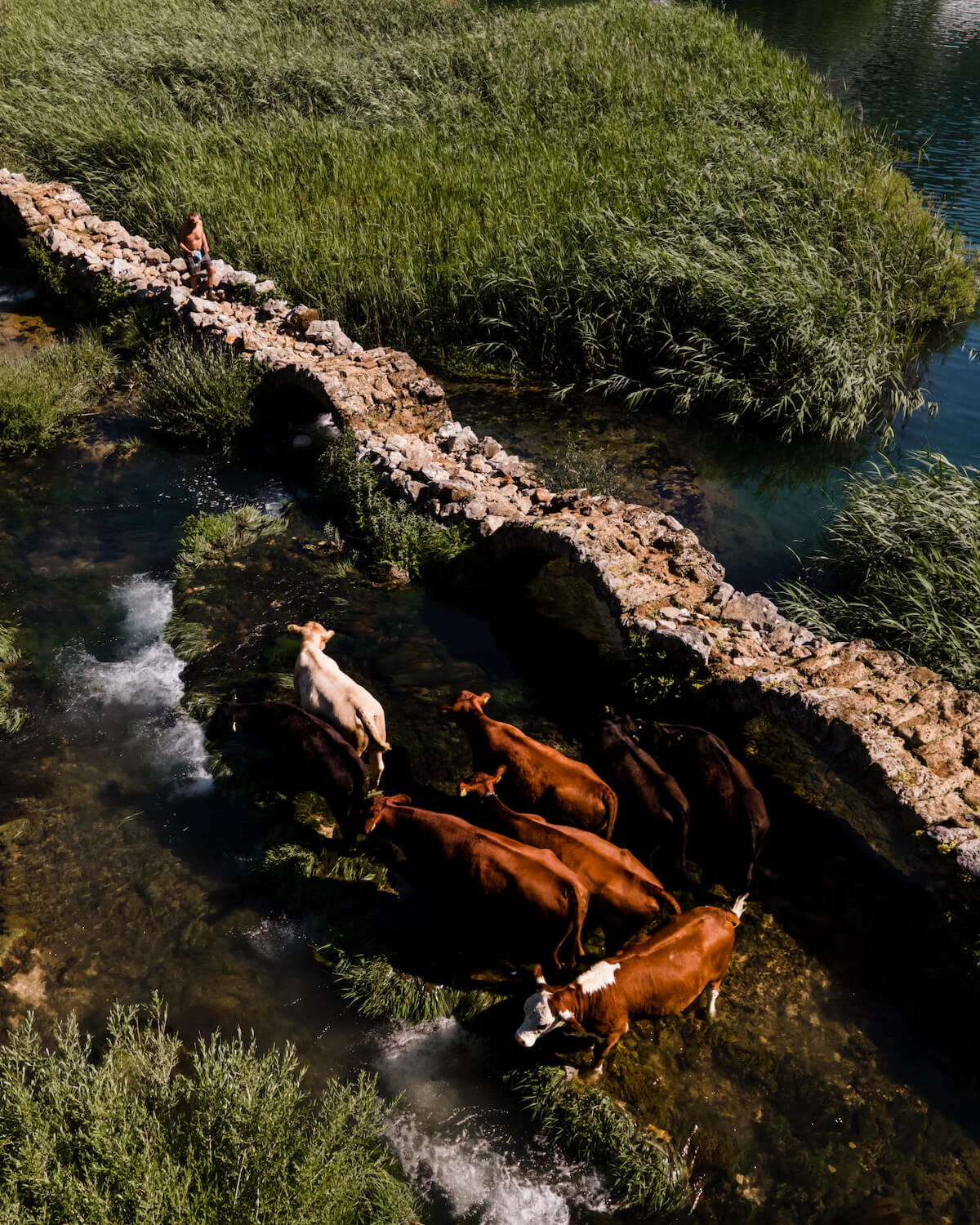toni_opacic_zadar_croatia_sea_adriatic_velebit_photo_video_dron_panorama_fly